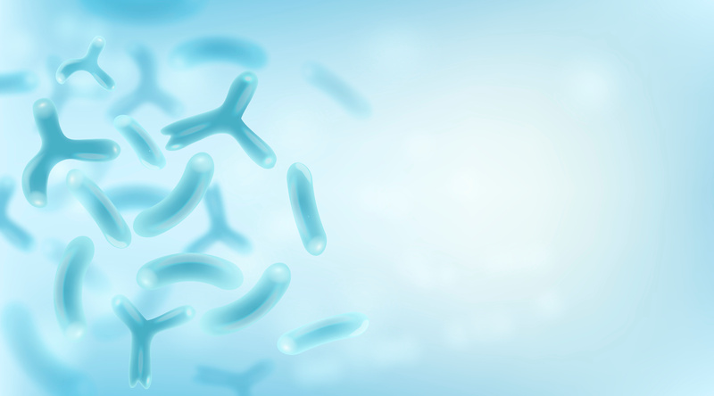 Akkermansia Probiyotik Nedir, Ne İşe Yarar, Nelerde Bulunur?