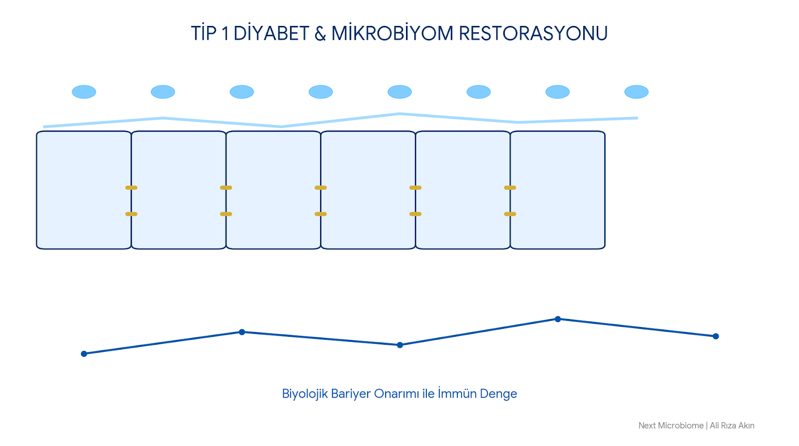 Tip 1 Diyabet ve İnsülin Yönetiminde Mikrobiyomun Rolü